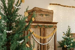 Cozy interior decorated for Christmas in Scandinavian style. Live fir trees decorated with natural ornaments made of dried oranges photo