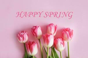 Pink Tulip flowers are arranged on a pink background. The view from the top, flat lay. Text Happy Spring. Spring concept. Women's day. Mother's day. photo