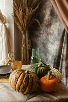 Autumn interior. Japanese pampas grass. Interior in the photo Studio.