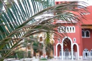 ver de el piscina, palma arboles y el castillo en Egipto - el concepto de un lujo viaje. foto