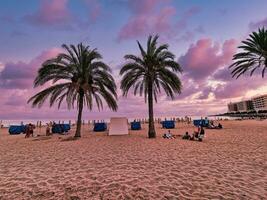 seaside beach with palm trees landscape after sunset in Alicante, Spain photo