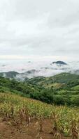 natural paisaje imágenes montañas y niebla video