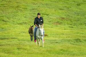 Young man in the field riding horse, A man riding horse in the field and pointing, riding a beautiful horse in the field photo