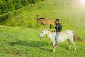 joven hombre en el campo montando caballo, un hombre montando caballo en el campo y señalando, montando un hermosa caballo en el campo foto