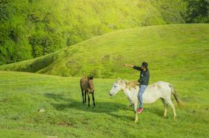 Young man in the field riding horse, A man riding horse in the field and pointing, riding a beautiful horse in the field photo