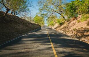 Asphalt road surrounded by trees with a bus on the road, View of a paved road surrounded by trees at sunset. Concrete road surrounded by trees and branches photo