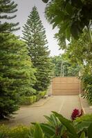 Image of a backyard with pine trees, pine trees and an exit door photo