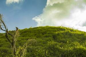 Low angle of a hill with clouds and blue sky, Hill with blue sky and copy space photo