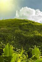 Low angle of a hill with clouds and blue sky, Hill with blue sky and copy space photo