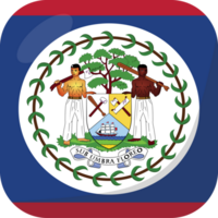 Belize flag square 3D cartoon style. png