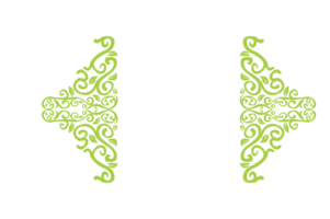 flora ornament grens met ontwerp met transparant achtergrond png
