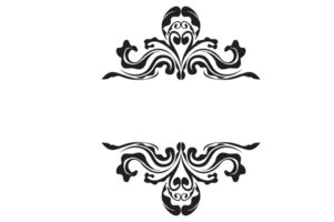 Flora Ornament Border With Design With Transparent Background png