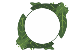 flora prydnad gräns med design med transparent bakgrund png