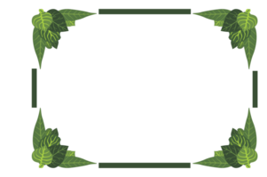 Flora Ornament Border With Design With Transparent Background png