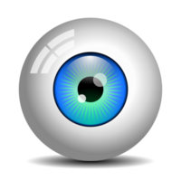 Realistic Eyeball with transparent background png