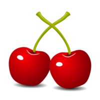 cereja frutas em transparente fundo png