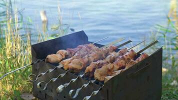 piquenique em costa, fritar peças do carne sobre fogo. video