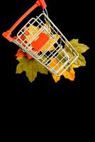 Grocery cart with decorative maple leaf on a black background. The concept of the autumn sales. Black Friday and cyber Monday. selective focus photo