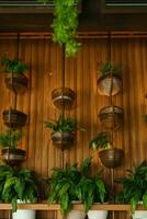 Cafe interior with elements of biophilic design. The concept of biophilia photo