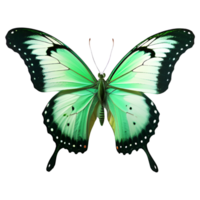 Beautiful Green Butterfly Isolated on a Transparent Background. AI Generative png