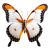 hermosa mariposa aislado en un transparente antecedentes. ai generativo png