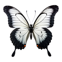 mooi vlinder geïsoleerd Aan een transparant achtergrond. ai generatief png