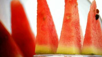 affettato acqua di melone volteggiare. ciclo continuo video