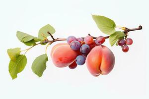 Ripe apricots and plums on a white background, Two peaches and grapes branch on white background, AI Generated photo