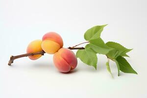 Apricots with green leaves on a white background. Isolated, Two peaches and grapes branch on white background, AI Generated photo