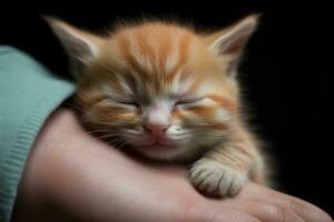 Cute little red kitten sleeping on human hand, isolated on black background, The kitten sleeps in my palm, AI Generated photo