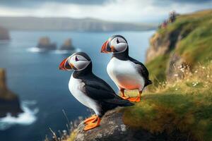 Couple of puffins standing on the cliff. Iceland, Europe, Puffins sitting on a rock in front of the sea, AI Generated photo