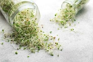 Microgreens grown in a jar. photo