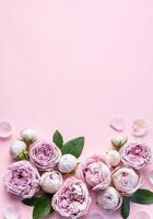 Pink rose flowers on pastel pink background photo