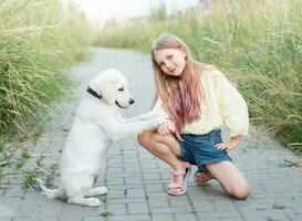 Puppy labrador retriever and little girl photo