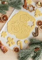 Christmas baking, gingerbread cookies photo