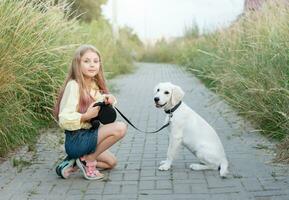 Puppy labrador retriever and little girl photo