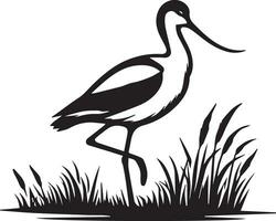 Avocet Bird Vector silhouette illustration black color