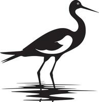 avoceta pájaro vector silueta ilustración negro color