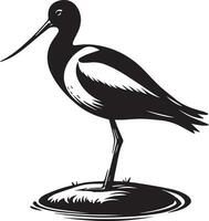 Avocet Bird Vector silhouette illustration black color