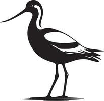 avoceta pájaro vector silueta ilustración negro color