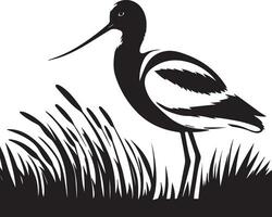 avoceta pájaro vector silueta ilustración negro color