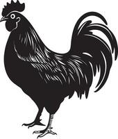 australorp pollo vector silueta ilustración negro color 9 9