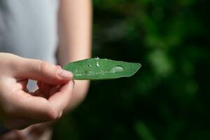 hand holds a sheet with a round drop photo