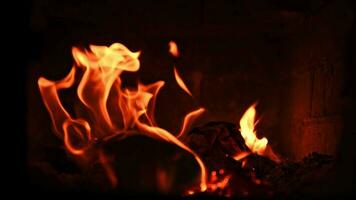 el fuego quemaduras en el cocina. leña, calor, comodidad, observación foto