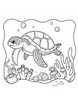 coloring book for kids sea turtle swimming in water photo