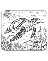 coloring book for kids sea turtle swimming in water photo