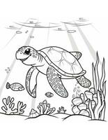 coloring book for kids sea turtle swimming in water photo