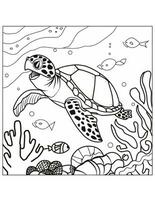 coloring book for kids sea turtle swimming in water photo