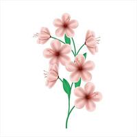 Vector spring red flower on white background