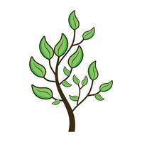 Vector green tree with leaves on white background vector